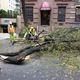 Illustration for article titled This Is What Hurricane Sandy Did To My Neighborhood